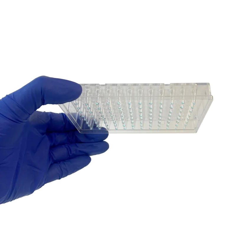 Toxoplasmosis PCR Kit - Bio-T Kit® Toxoplasma Gondii Toxoplasmosis PCR Kit - Bio-T Kit® Toxoplasma Gondii