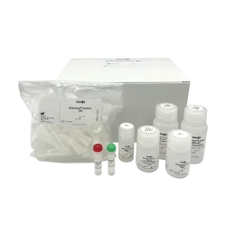 Kit d'Extraction sur Colonnes de Silice - Bioextract ® Column