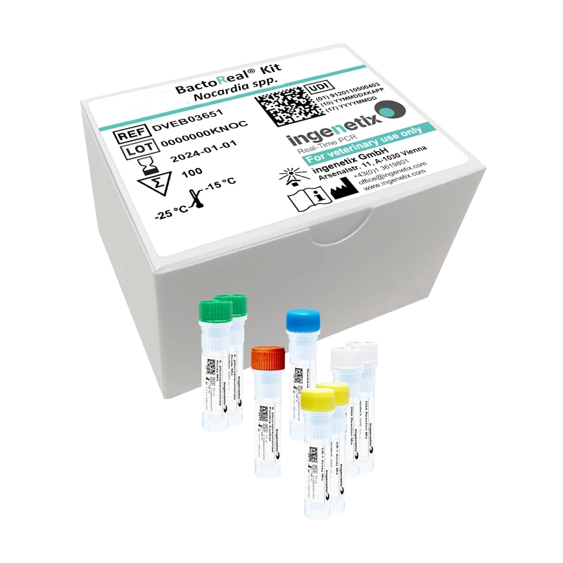 Nocardiosis PCR Kit - BactoReal® Nocardia spp Kit