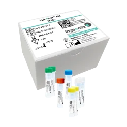 Kit PCR Virus de l'encéphalomyocardite - ViroReal® Kit EMCV
