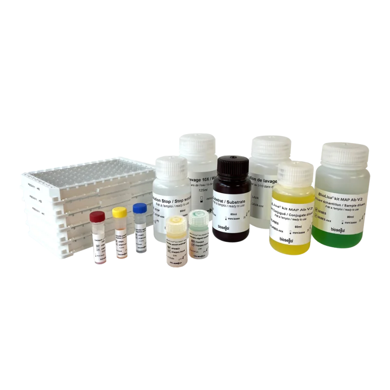 Kit ELISA Paratuberculose - Biolisa® Kit MAP Ab V2