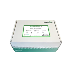 Kit ELISA Besnoitiose - BioLisa® Kit Besnoitia Ab