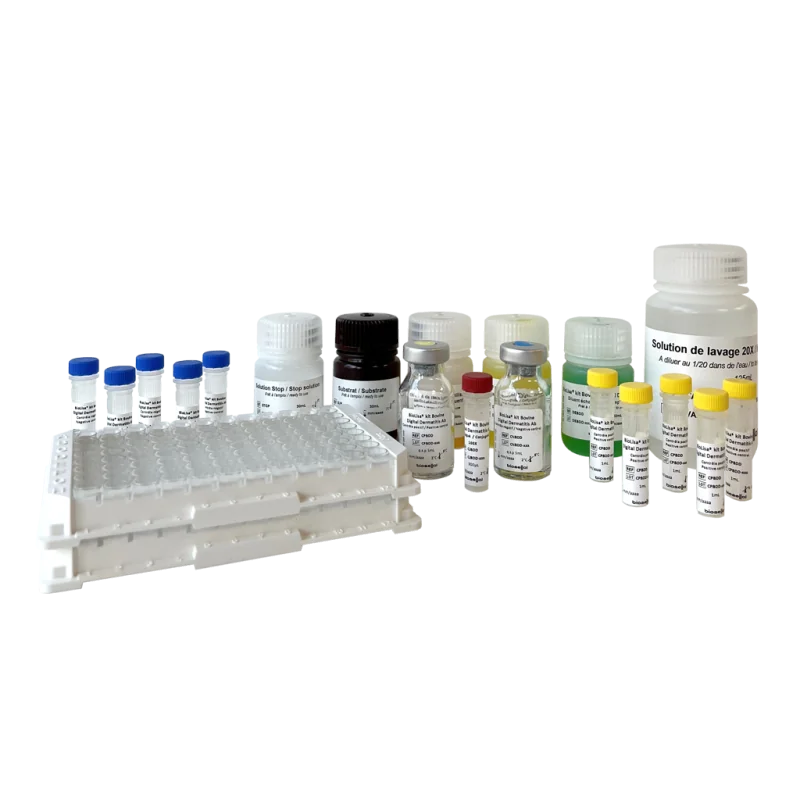 Kit ELISA Dermatite Digitée - Biolisa® Kit
