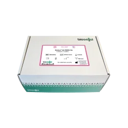 PRRSV ELISA kit - BioLisa® kit PRRSV Ab