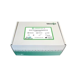 Kit ELISA Treponema phagedenis - BioLisa® kit Treponema phagedenis Ab