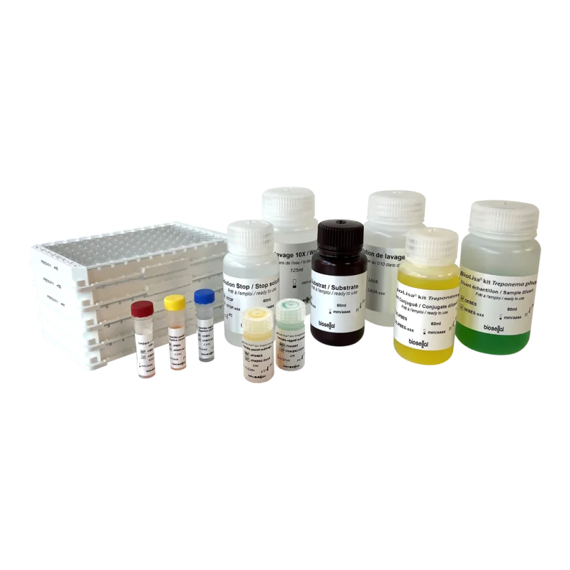 Kit ELISA Treponema phagedenis - BioLisa® kit Treponema phagedenis Ab Kit ELISA Treponema phagedenis - BioLisa® kit Treponema phagedenis Ab