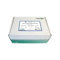 Kit ELISA Grippe A Milk - BioLisa® kit Influenza A blocking Ab Milk