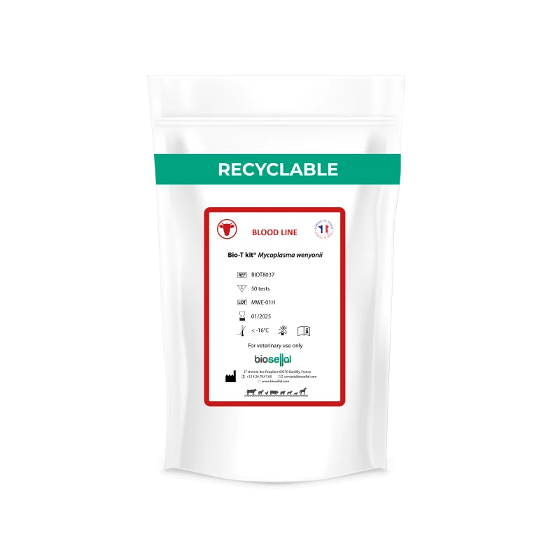 Mycoplasmosis PCR Kit - Bio-T Kit® Mycoplasma Wenyonii