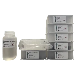 Kit d'extraction par billes magnétiques - BioExtract XPress®