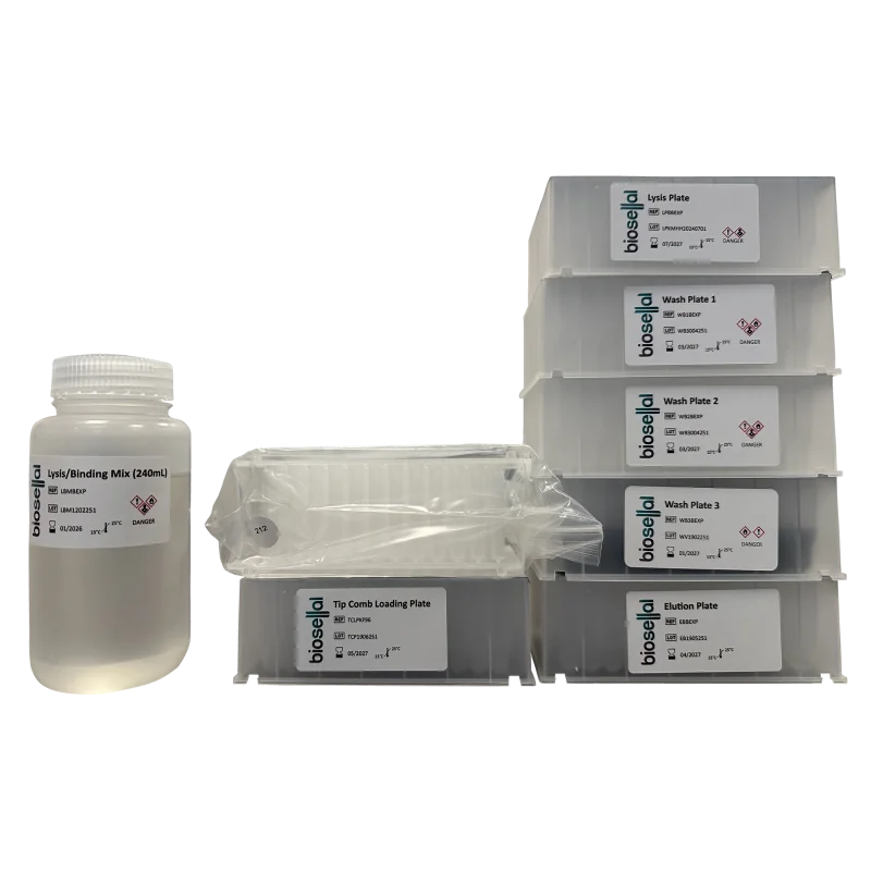 Magnetic bead extraction kit - BioExtract XPress® Magnetic bead extraction kit - BioExtract XPress®