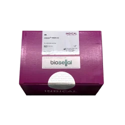 Kit ELISA Porcine Reproductive & Respiratory Syndrome Virus