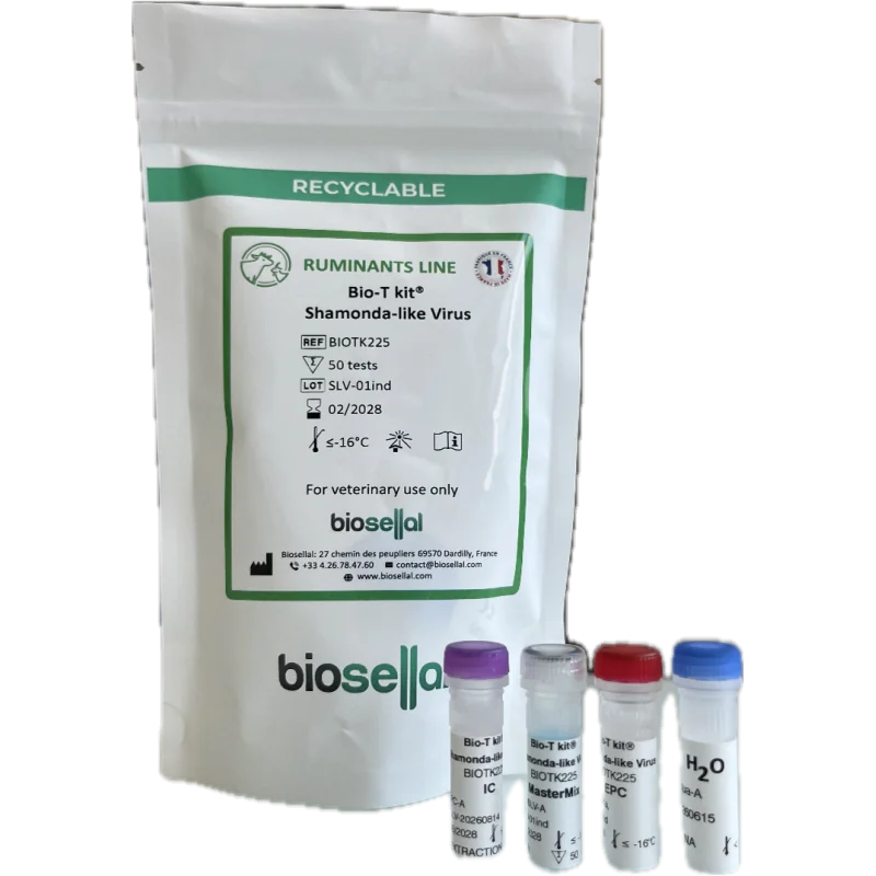 Kit PCR Shamonda-like Virus Kit PCR Shamonda-like Virus