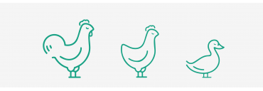 Avian Influenza: Ensure your results quality with our PCR kits!